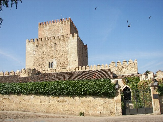 Castillo de Enrique de Trastámara